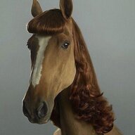 Life Action Horse