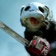 DecimatedFerret