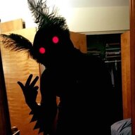 Mothman Stole My Lamps