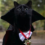 Smug Cat