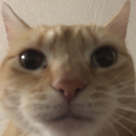 Mooner
