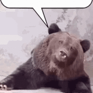 Piss Bear