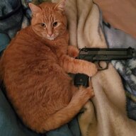 Spicey McHaggis