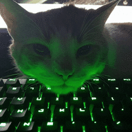kittyfucker