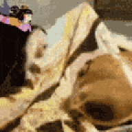 NIGGER ASS PEE POOPY RAPE