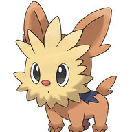 lillipup