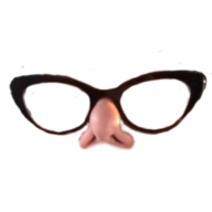 polyester