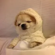 Pajamas