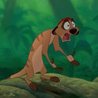 Doctor Professor Timon