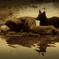 DogZero