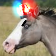 Horse Police