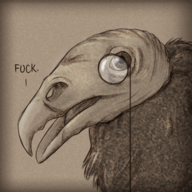 Cultured Vulture