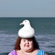 FuckDuckSeagull