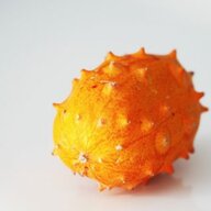 Grapefruct