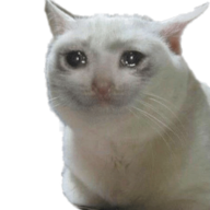 Mr.Nya