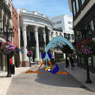 Rodeo Roadrunner
