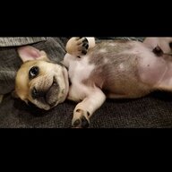 NotCourtneyLove