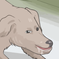 Nuꟾꟾ