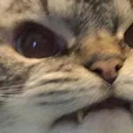 ScooterL