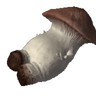 Autistic Mushroom