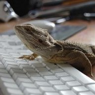 E-reptile Dysfunction