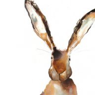 Wabbit
