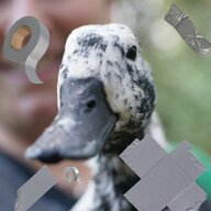 Tapeduck76