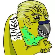 recailskender