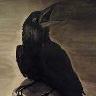 Quoth The Raven