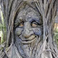 The Thinking Tree