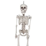 cheap plastic skeleton