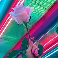 Sailor Guillotine Lotus