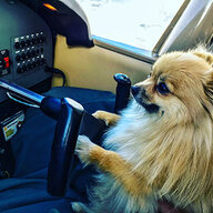 Pom Pilot