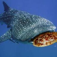pizza harpooner