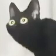 Draaq