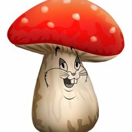 BigFungus