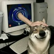 SoyDanBoi