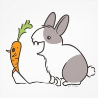 The Rabbit Holes