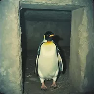 filthypenguin