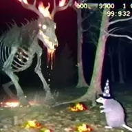 Ghost Noob
