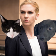 Kim Wexler