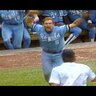 Pine Tar