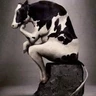 God's strongest milkman