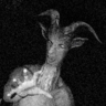 BillyGoat2