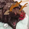 Tragon Dirtle