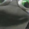 GooglePuppet