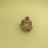 Hamberlard Raid