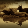 DogZero