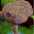 flower tree