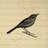 Nightingale